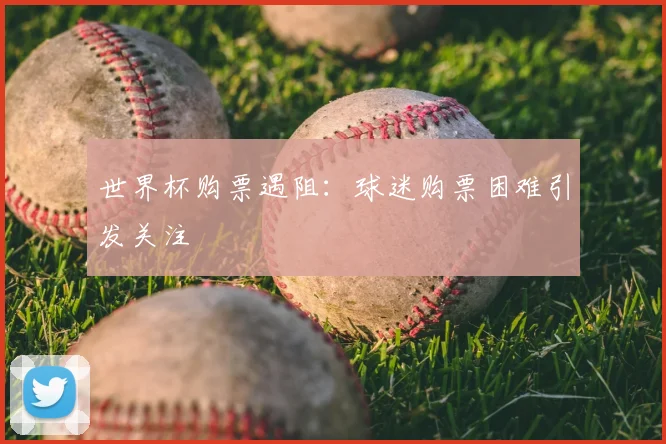 世界杯购票遇阻:球迷购票困难引发关注