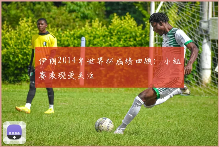 伊朗2014年世界杯成绩回顾：小组赛表现受关注