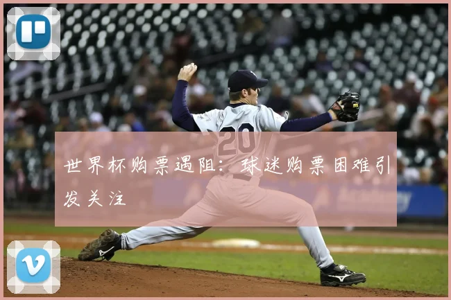 世界杯购票遇阻：球迷购票困难引发关注
