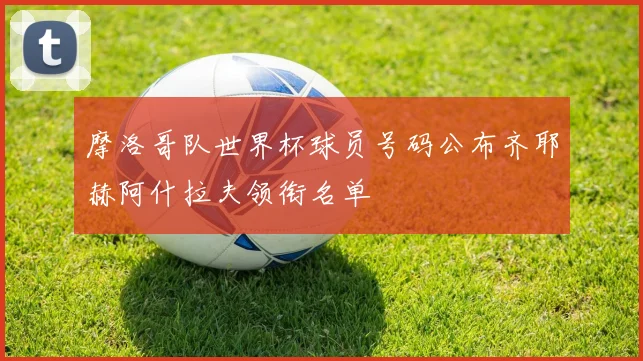 摩洛哥队世界杯球员号码公布齐耶赫阿什拉夫领衔名单