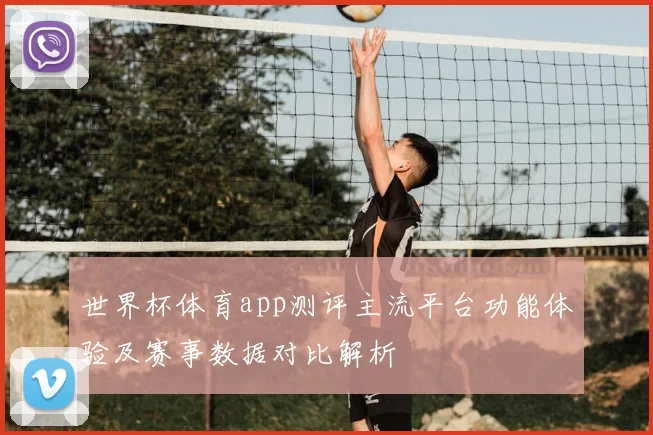 世界杯体育app测评主流平台功能体验及赛事数据对比解析