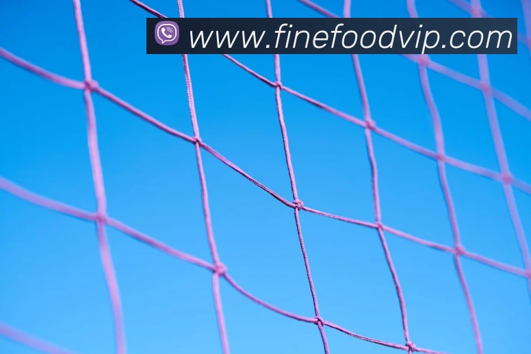 博雅app官网登录品牌故事