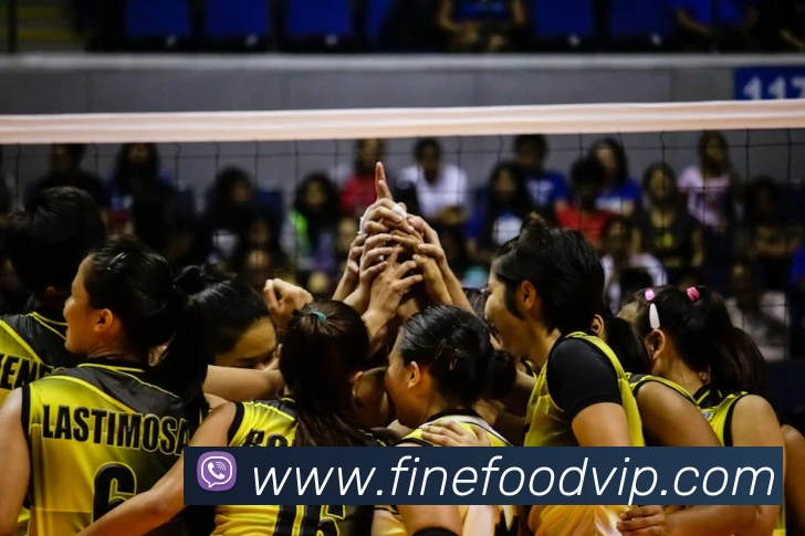 博雅app官网登录服务体系